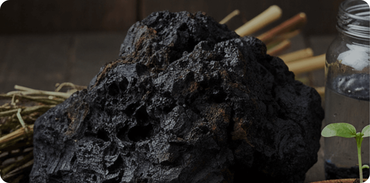 Biochar & Circular Solutions