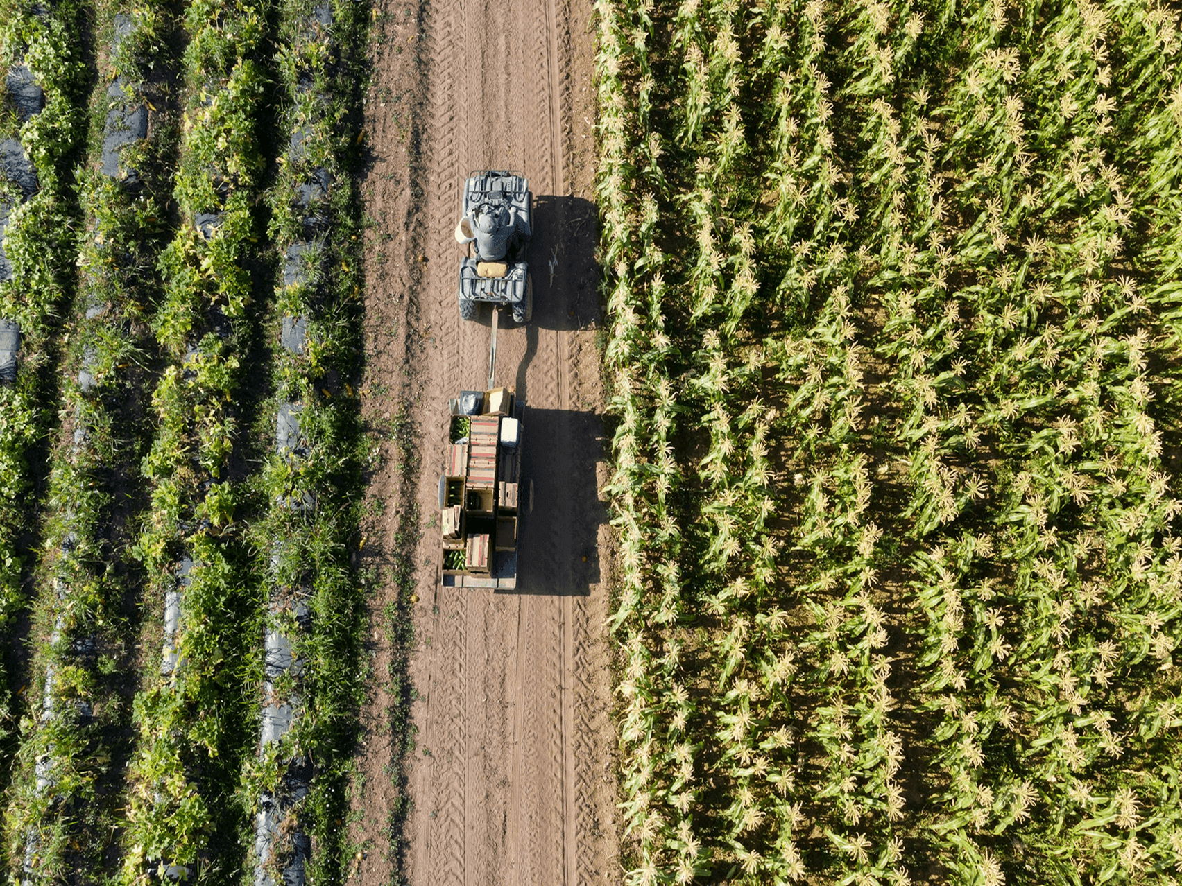 Scalable partnerships empower rural livelihoods